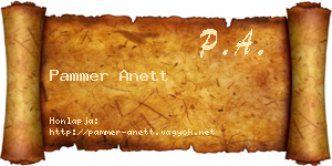 Pammer Anett névjegykártya